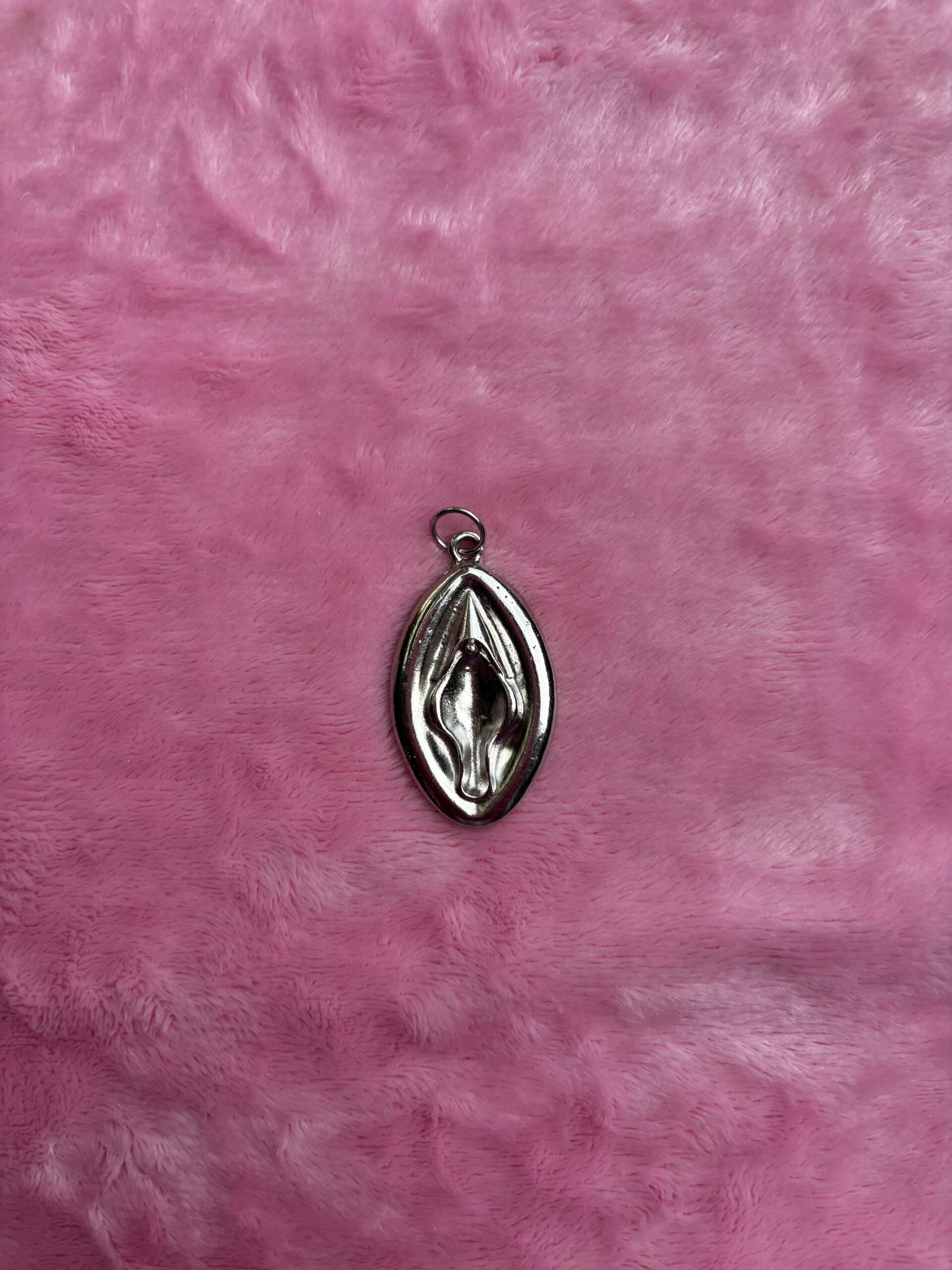Zilverkleurige vulva bedel